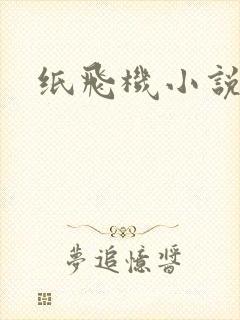 纸飞机小说