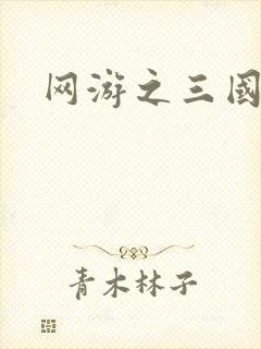 网游之三国王者