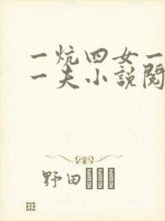 一炕四女一共侍一夫小说阅读