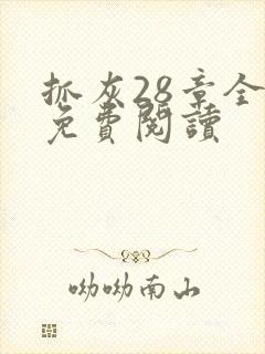 抓灰28章全部免费阅读