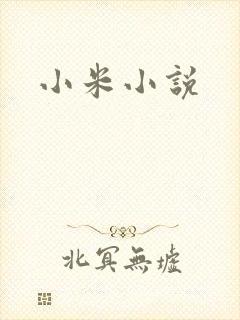 小米小说
