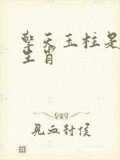 擎天玉柱是什么生肖