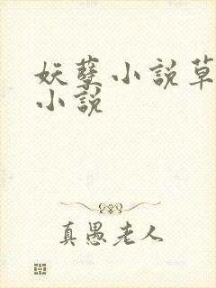 妖孽小说草莓酱小说