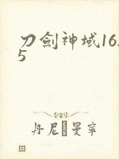刀剑神域16.5