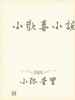 小欢喜小说