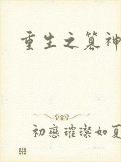 重生之篡神