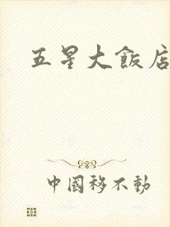 五星大饭店小说