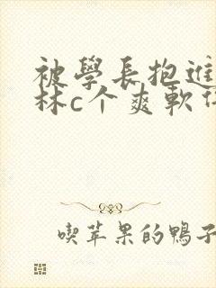 被学长抱进小树林c个爽软件