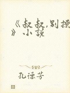 《叔叔,别撩我》小说