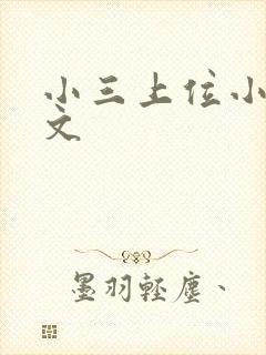 小三上位小说全文