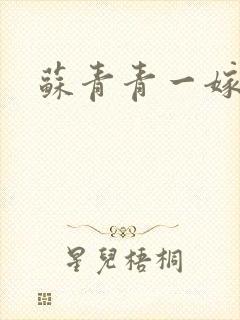 苏青青一嫁三夫