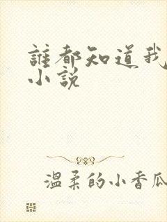 谁都知道我爱你小说