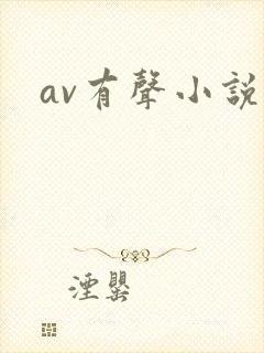 av有声小说