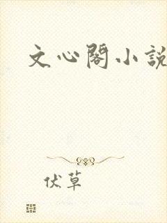 文心阁小说