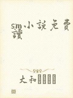 sm小说免费阅读