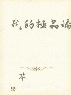 我的极品娇妻