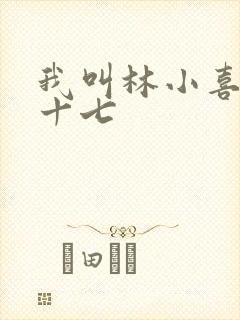 我叫林小喜今年十七
