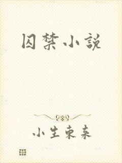 囚禁小说