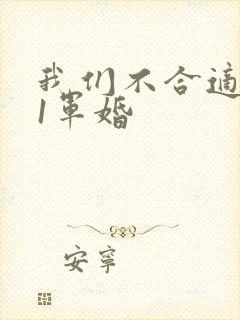 我们不合适1v1军婚