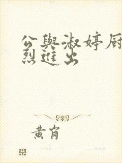 公与淑婷厨房猛烈进出