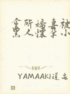 会所娇妻被多个黑人怀孕小说