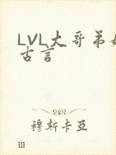 LVL大哥弟媳古言