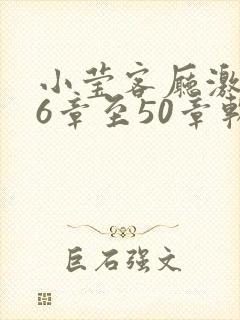 小莹客厅激情46章至50章软件介绍