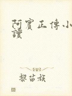 阿宾正传小说在读