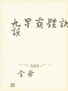 九星霸体诀 小说