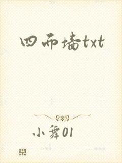 四面墙txt