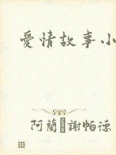 爱情故事小说