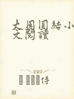 大团圆结小茹全文阅读