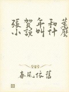 张贺年和叶繁姿小说叫什么名字