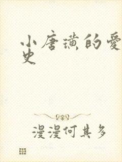 小唐璜的爱情历史