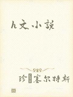 h文小说