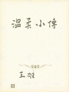 温柔小传