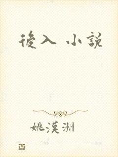 后入 小说
