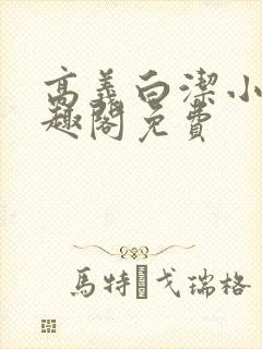 高义白洁小说笔趣阁免费