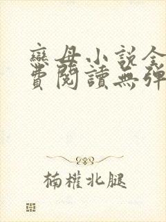 恋母小说全文免费阅读无弹窗笔趣阁