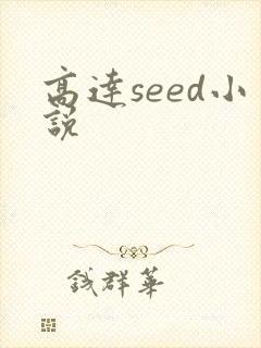 高达seed小说