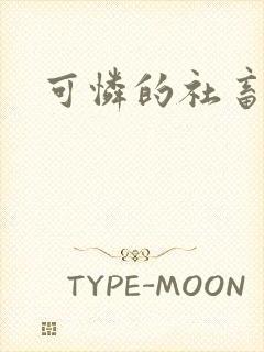 可怜的社畜小说