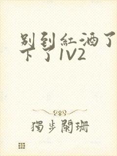 别到红酒了装不下了1V2