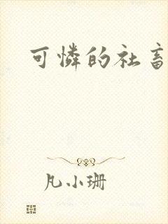 可怜的社畜小说