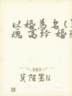 以婚为名 (军魂 高干 婚恋)