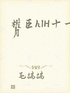 权臣hlH十一月