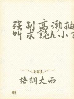 强制高潮抽搐哭叫求饶h小说