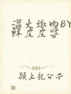 温火炖肉BY海鲜皮皮酱