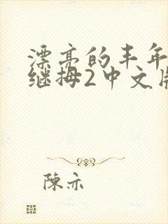 漂亮的丰年经的继拇2中文版