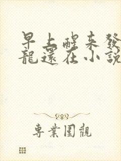 早上醒来发现巨龙还在小说