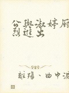 公与淑婷厨房猛烈进出